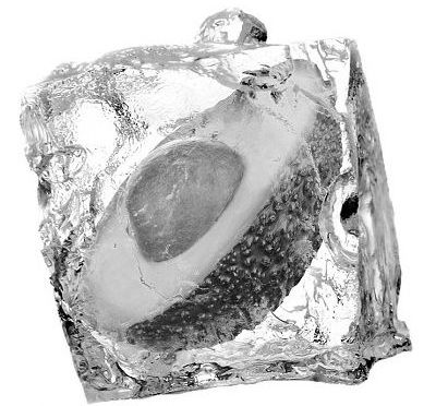 Managing your food stock – saving time, gaining choice