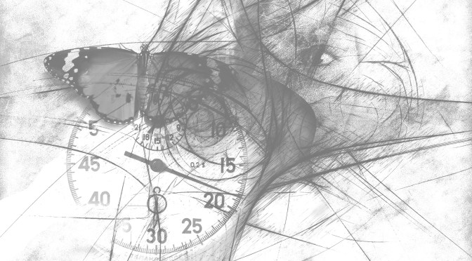 Time: why does it run faster as we age and can we slow it down?