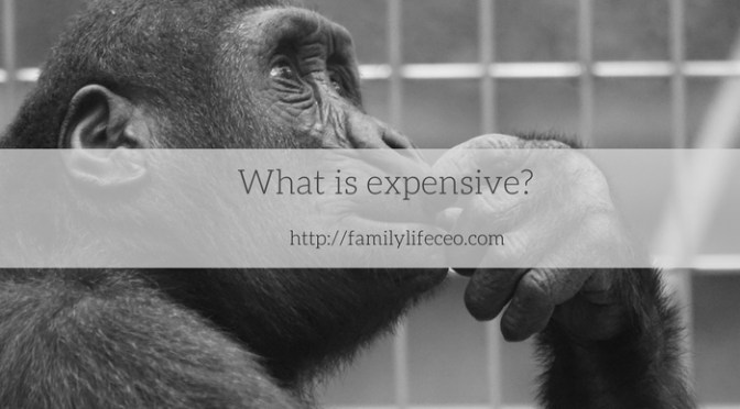 Beyond the price tag: how do you decide that something is expensive?