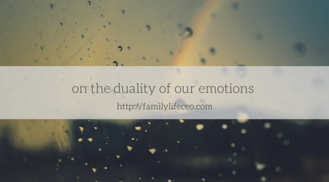 On the duality of our emotions